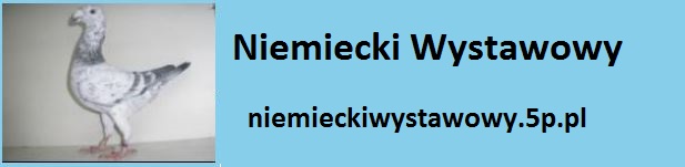 Niemiecki Wysatwowy 