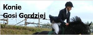 Konie Gosi Gordziej.